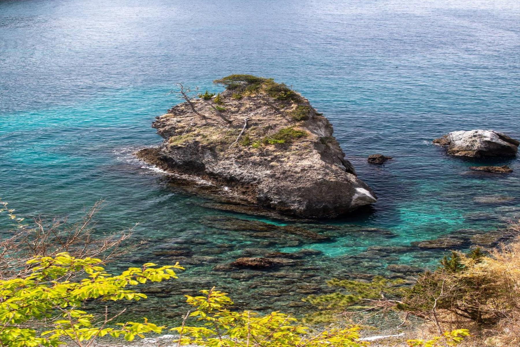 Shizentenyu Nishiizu Buitenkant foto
